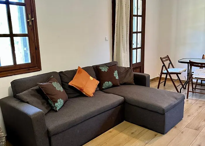 Elgi * Chrysi Ammoudia