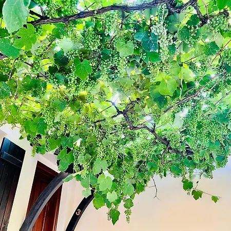 Σπίτι διακοπών Elgi