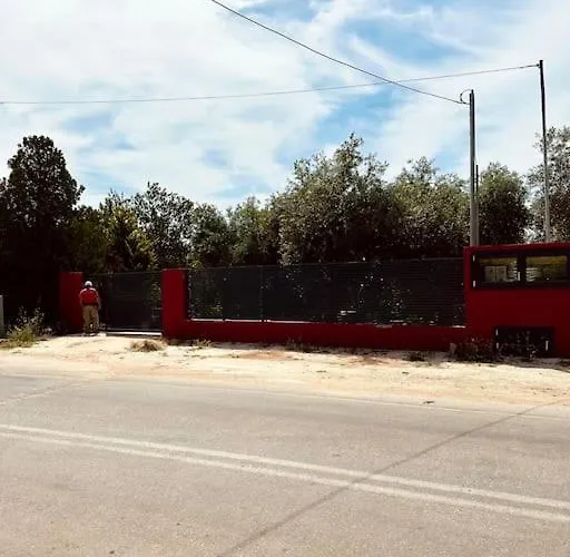 Elgi Chrysi Ammoudia