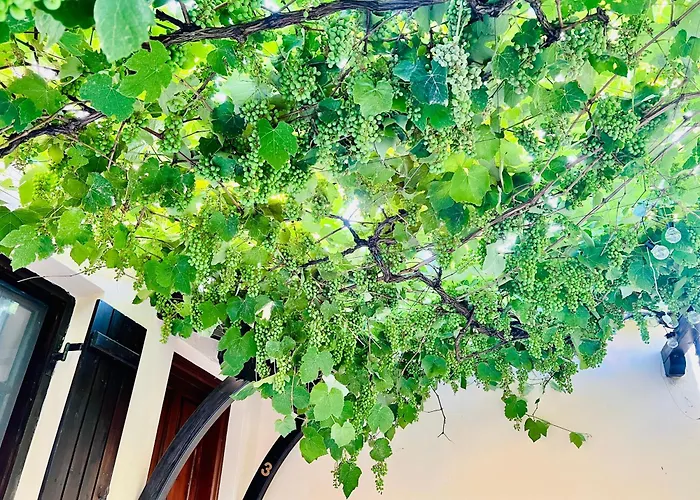 Сasa de vacaciones Elgi